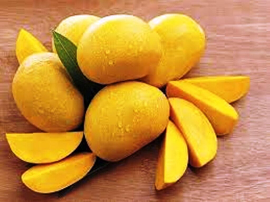 Mango 1