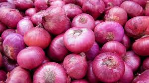 Onion 3