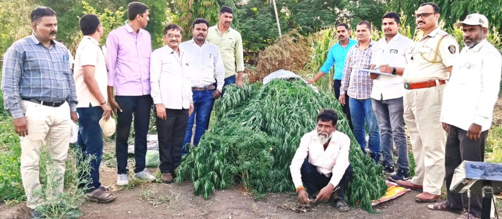 Shevgaon Ganja Crime News