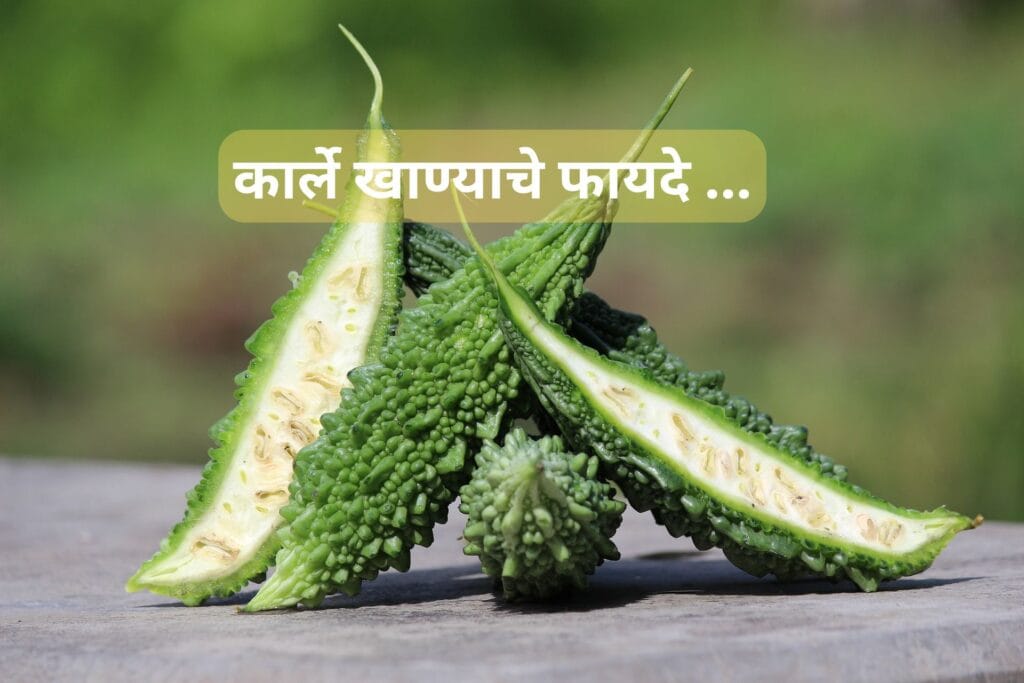 bitter gourd benefits